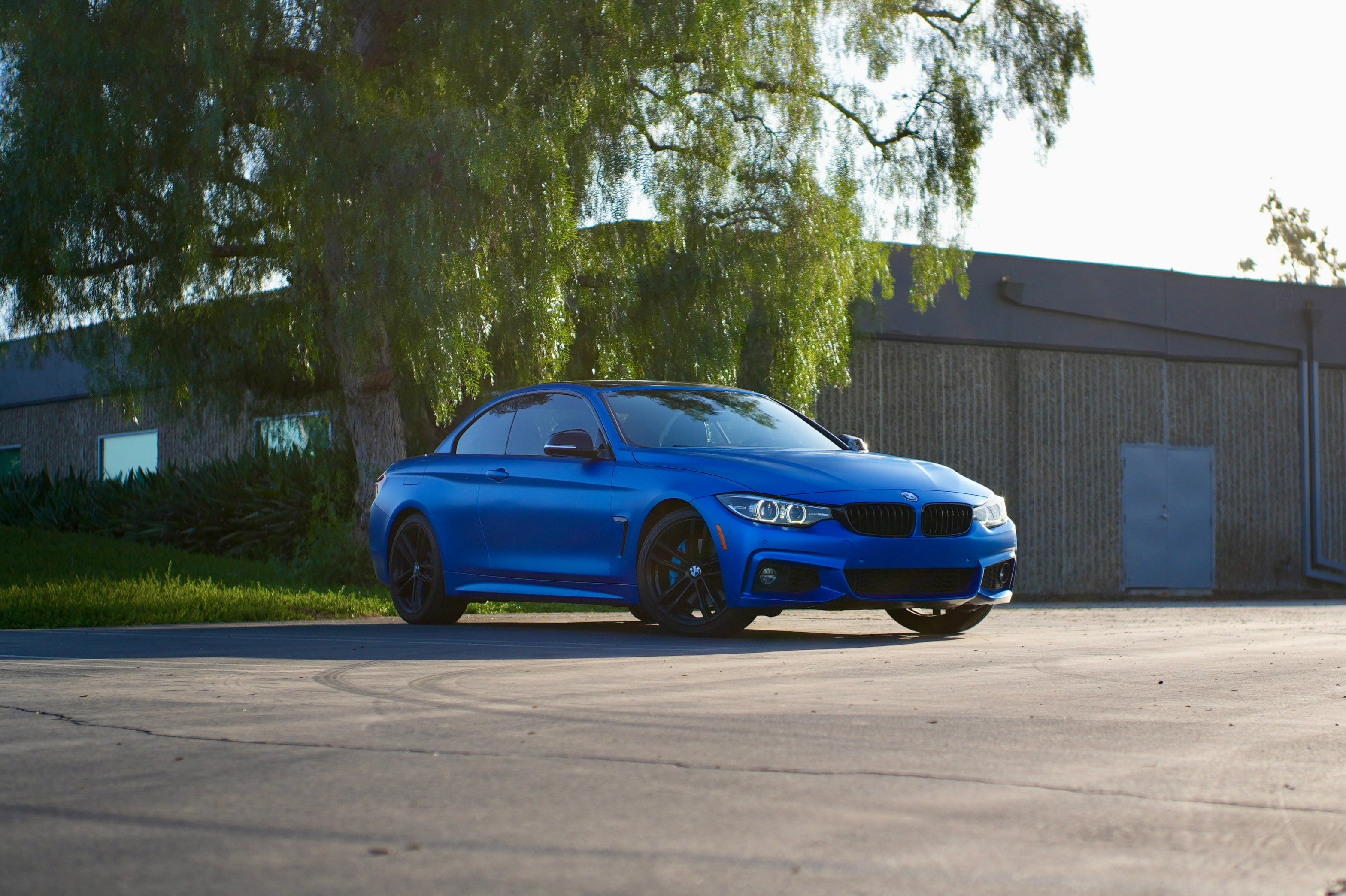 Blue BMW car parked on a paved surface with trees and a building in the background