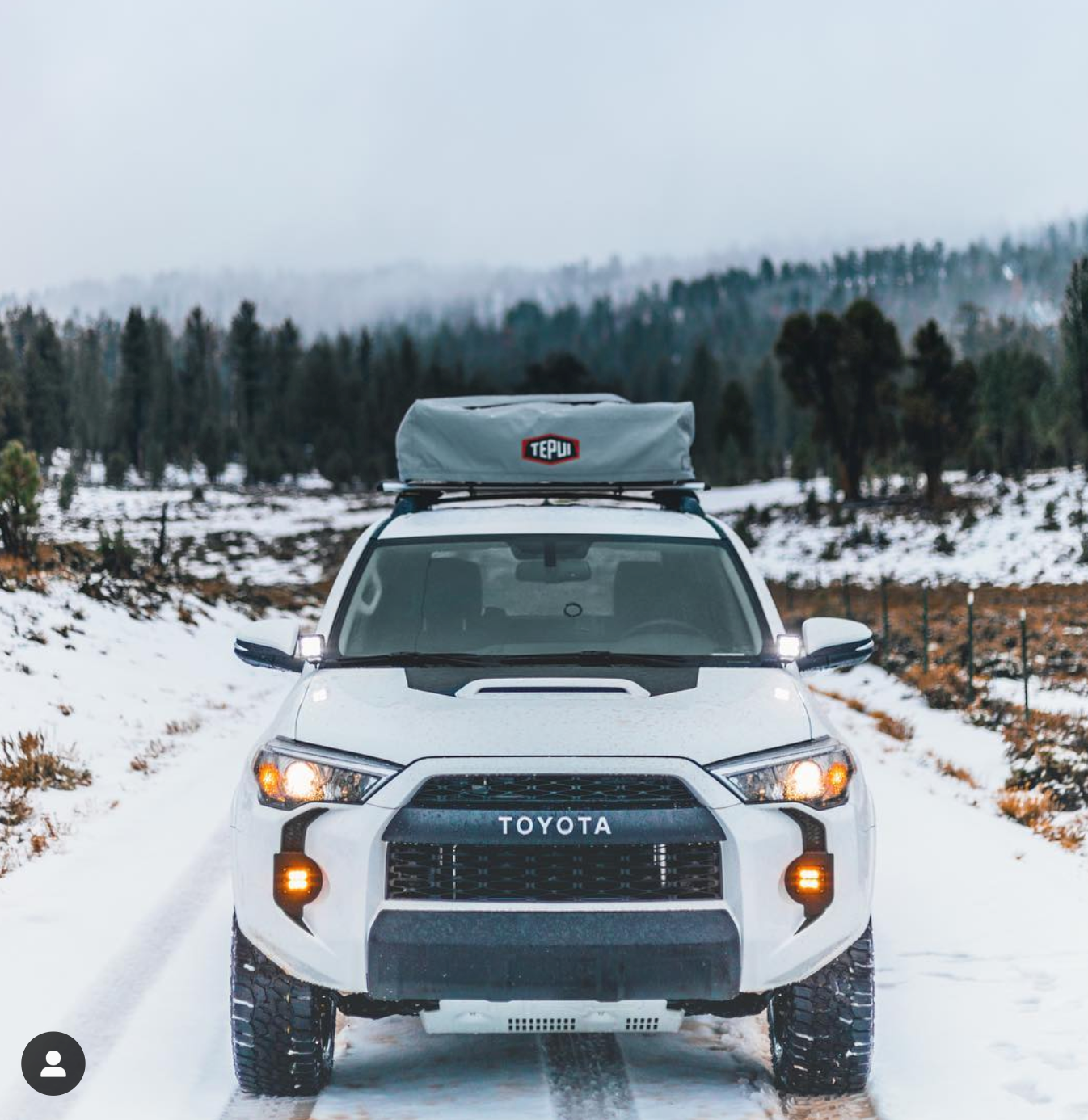 4Runner Foglight Fangs (5th Gen)